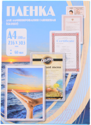 

Пленка для ламинирования No Brand, Прозрачный;серебристый, 216x303 60мик / PLP100123