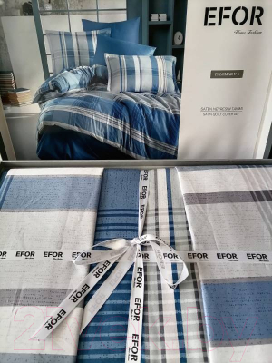 Комплект постельного белья Efor Saten Double Palomar V2 160x220 семейный / PB2170-M (голубой)