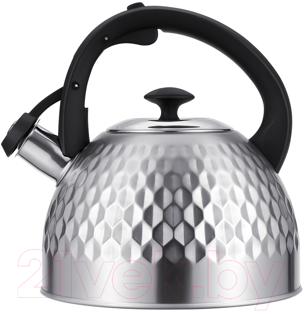 Чайник со свистком Regent Inox 93-TEA-50