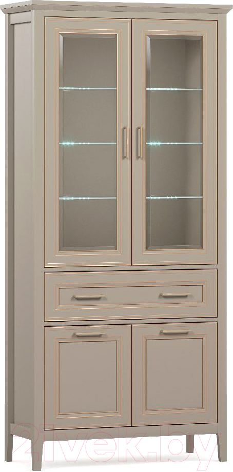 Шкаф с витриной Black Red White Classic REG2W2D1S с подсветкой (глиняный серый)