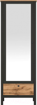 Шкаф Black Red White Loft SZF1W1S/60 (дуб вотан/черный)