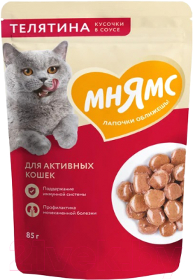 Влажный корм для кошек Мнямс Кусочки в соусе с телятиной для активных кошек / 540157 (85г)