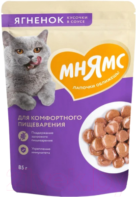 Влажный корм для кошек Мнямс Кусочки в соусе с ягненком для комфортного пищеварения / 540171 (85г)