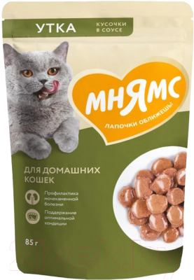 Влажный корм для кошек Мнямс Кусочки в соусе с уткой для домашних кошек / 540195 (85г)