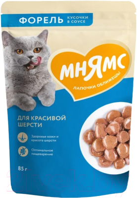 Влажный корм для кошек Мнямс Кусочки в соусе с форелью для красивой шерсти / 540201 (85г)