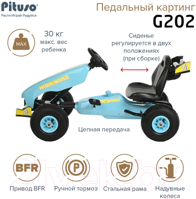 Каталка детская Pituso G202-L (голубой)