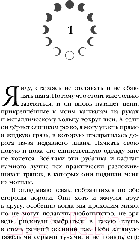 Художественная книга Черным-бело Мара и Морок. Твердая обложка. Формат клатчбук (Арден Лия) — фото 5