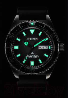 Часы наручные мужские Citizen NY0120-01E