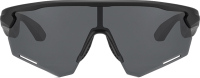 Очки солнцезащитные RockBros SP251 (черный) - 