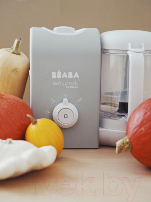 Блендер-пароварка Beaba Babycook Express V Grey EU 916300