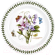 Тарелка столовая обеденная Portmeirion Ботанический сад Душистый горошек /  PRT-BG05052-26 - 