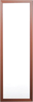Зеркало A+T Home Decor Universal 118x33см / 241017-22 (темно-коричневый) - 