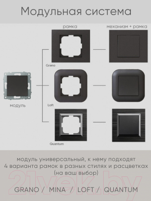 Розетка Ovivo 600-000313-215 (антрацит)