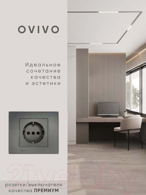 Розетка Ovivo 600-000311-217 (дымчатый)