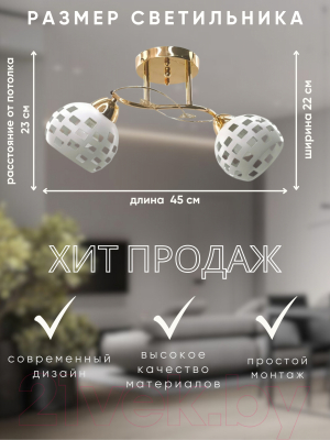 Потолочный светильник Aitin-Pro НПБ 02-2x60-101 / 10152/2 (золото/белый)