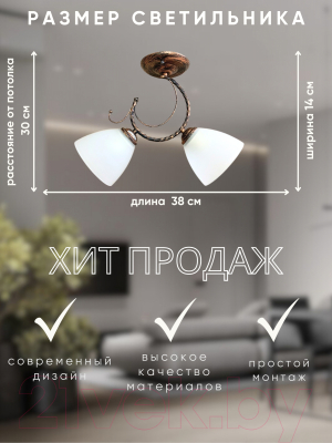 Потолочный светильник Aitin-Pro НПБ 02-2x60-102 / 30578/2C