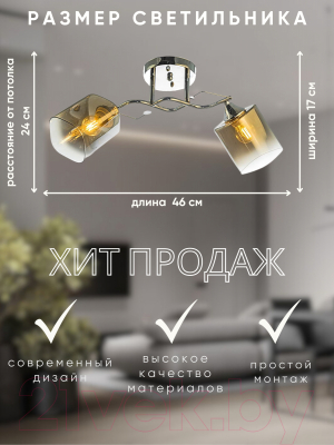 Потолочный светильник Aitin-Pro НПБ 02-2x60-101 / 6011/2 (хром)