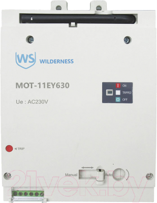 Привод моторный Wilderness Для DAM11EY-630M AC240/DC220В (R) / MOT-11EY630