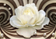 Фотообои листовые Citydecor Абстракция 35 (200x140см) -