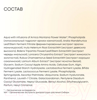 Лосьон для снятия макияжа Natura Siberica Lab Biome Липосомальный (200мл)
