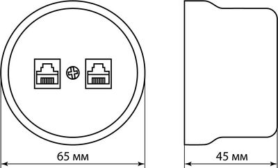 Розетка TDM Болонь SQ1820-0251 (черный)