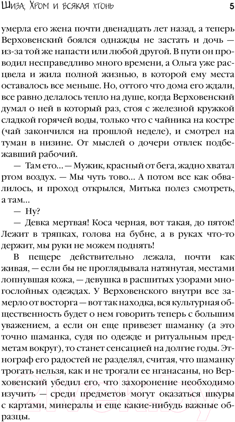 Художественная книга АСТ Шиза, Хром и всякая хтонь / 9785171609467 (Токаева Т., Багрянцева В.) — фото 6