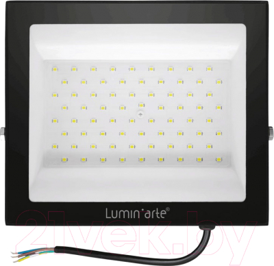 Изображение товара Прожектор LuminArte LFL-100W/06