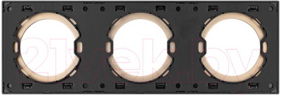Рамка для выключателя TDM SQ1819-0557 (шампань)
