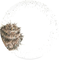 Тарелка столовая обеденная Royal Worcester Забавная фауна Сова / RWC WNB4077-XB-Owl - 