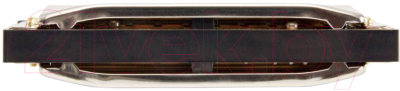 Губная гармошка Hohner Special 20 560/20 C / DNT-18702