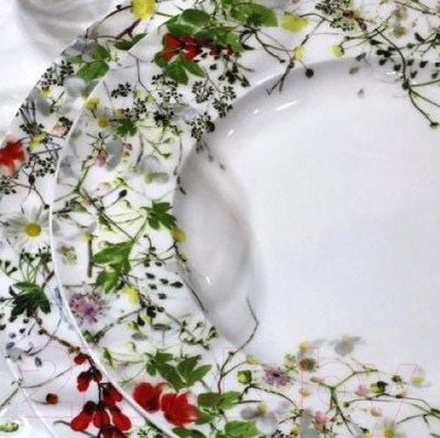 Тарелка столовая обеденная Rosenthal Дикие цветы / RT10530-405101-10221