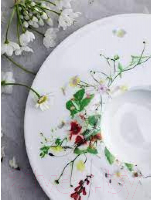 Тарелка столовая обеденная Rosenthal Дикие цветы / RT10530-405101-10028