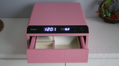 Мебельный сейф Klesto Smart JS2 (пудровый розовый)