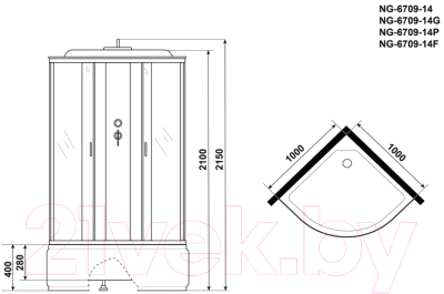 Душевая кабина Niagara NG-6709-14F 100x100x215 (прозрачное стекло/черный)