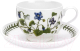 Чашка с блюдцем Portmeirion Ботанический сад Фиалка / PRT-BG04557-31 - 