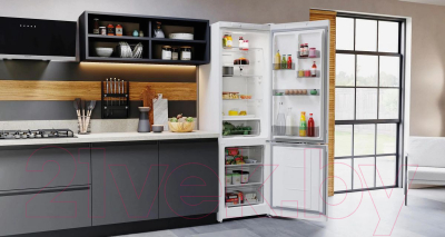 Холодильник с морозильником Hotpoint HT 4200 W