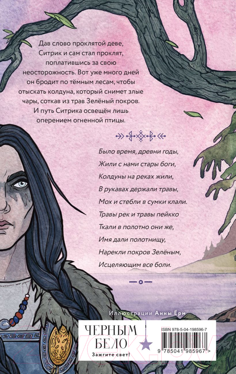 Художественная книга Эксмо Руны огненных птиц / 9785041985967 (Ерм А.) — фото 2