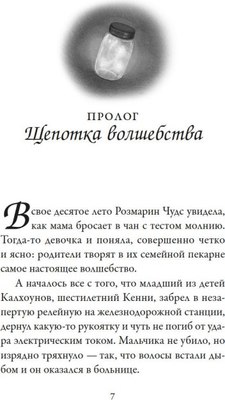 Книга Азбука Пекарня Чудсов. Рецепт чудес твердая обложка (Литтлвуд Кэтрин)