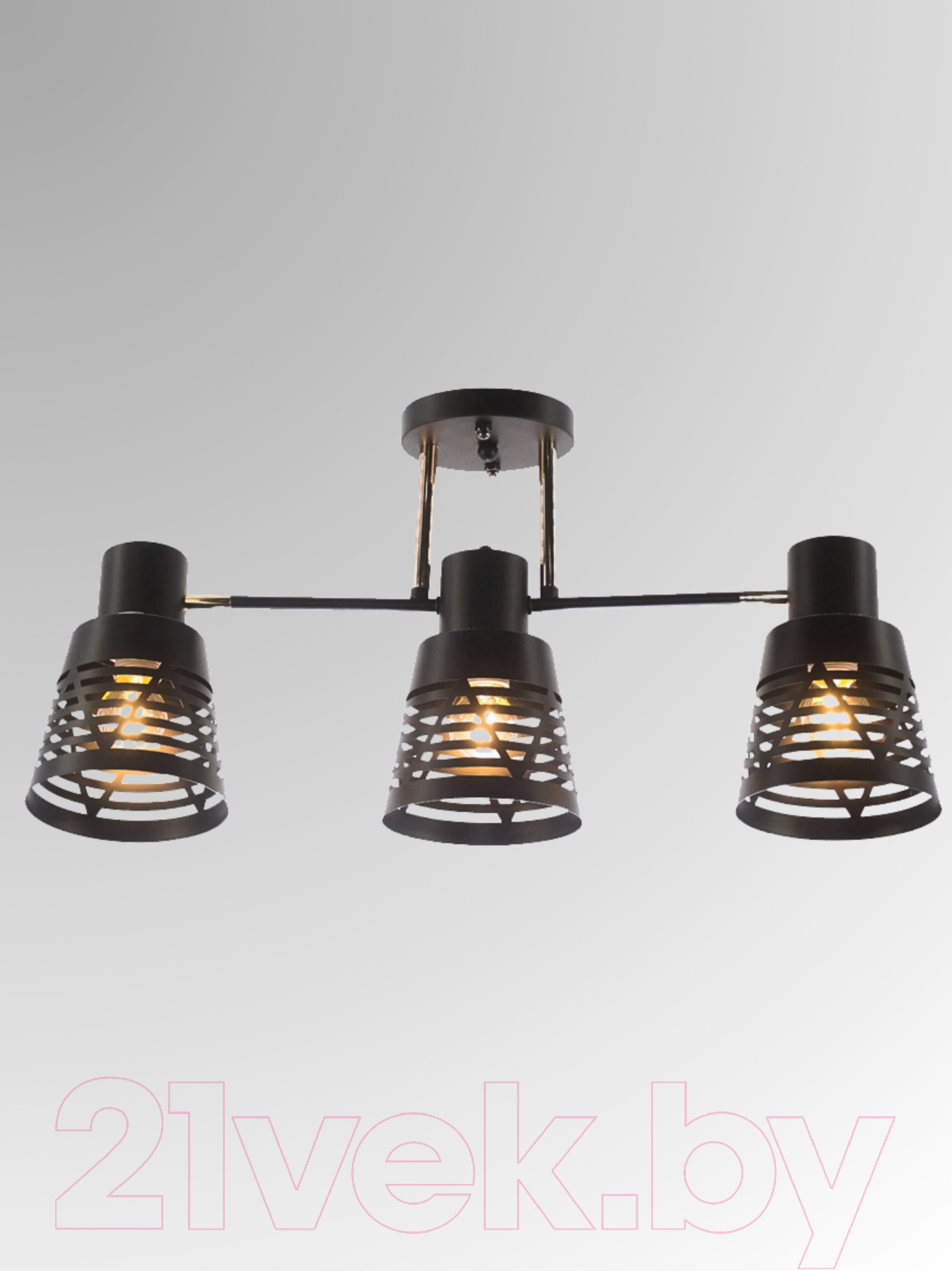 Люстра Aitin-Pro НПБ 02-3x60-101 / 6074/3 (черный/золото) — фото 2
