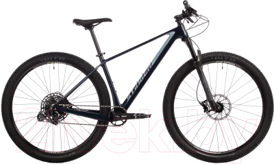 Велосипед Stinger 29 Genesis Evo 29CHD.GNSEVO.LGBL4 (LG, синий)