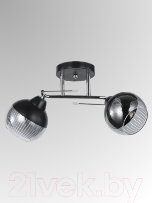Потолочный светильник Aitin-Pro НПБ 02-2x60-101 / 8037/2 (черный/хром)
