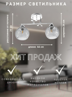 Потолочный светильник Aitin-Pro НПБ 02-2x60-101 / 8056/2 (белый/хром)