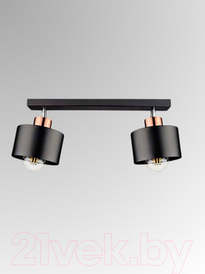 Спот Aitin-Pro НПБ 02-2x60-102 / 8825/2 (медный/черный) -