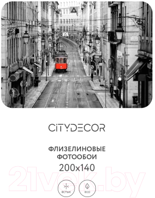 Фотообои листовые Citydecor Города и Архитектура 53 (200x140см)