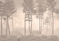 Фотообои листовые Citydecor Таинственный лес 10 (200x140см) - 