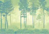 Фотообои листовые Citydecor Таинственный лес 11 (200x140см) - 