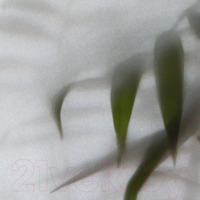 Фотообои листовые Citydecor Цветы и Растения 158 (200x140см)