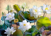 Фотообои листовые Citydecor Цветы и Растения 163 (200x140см) - 