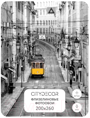 Фотообои листовые Citydecor Города и Архитектура 51 (200x260см)