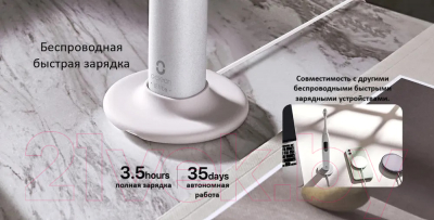 Изображение товара Звуковая зубная щетка Oclean X Pro Elite Y2087 (серый)